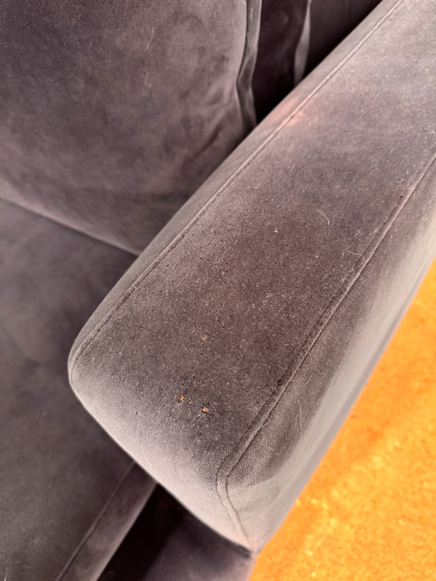 Camerich Lazytime Navy Blue Velvet Sofa