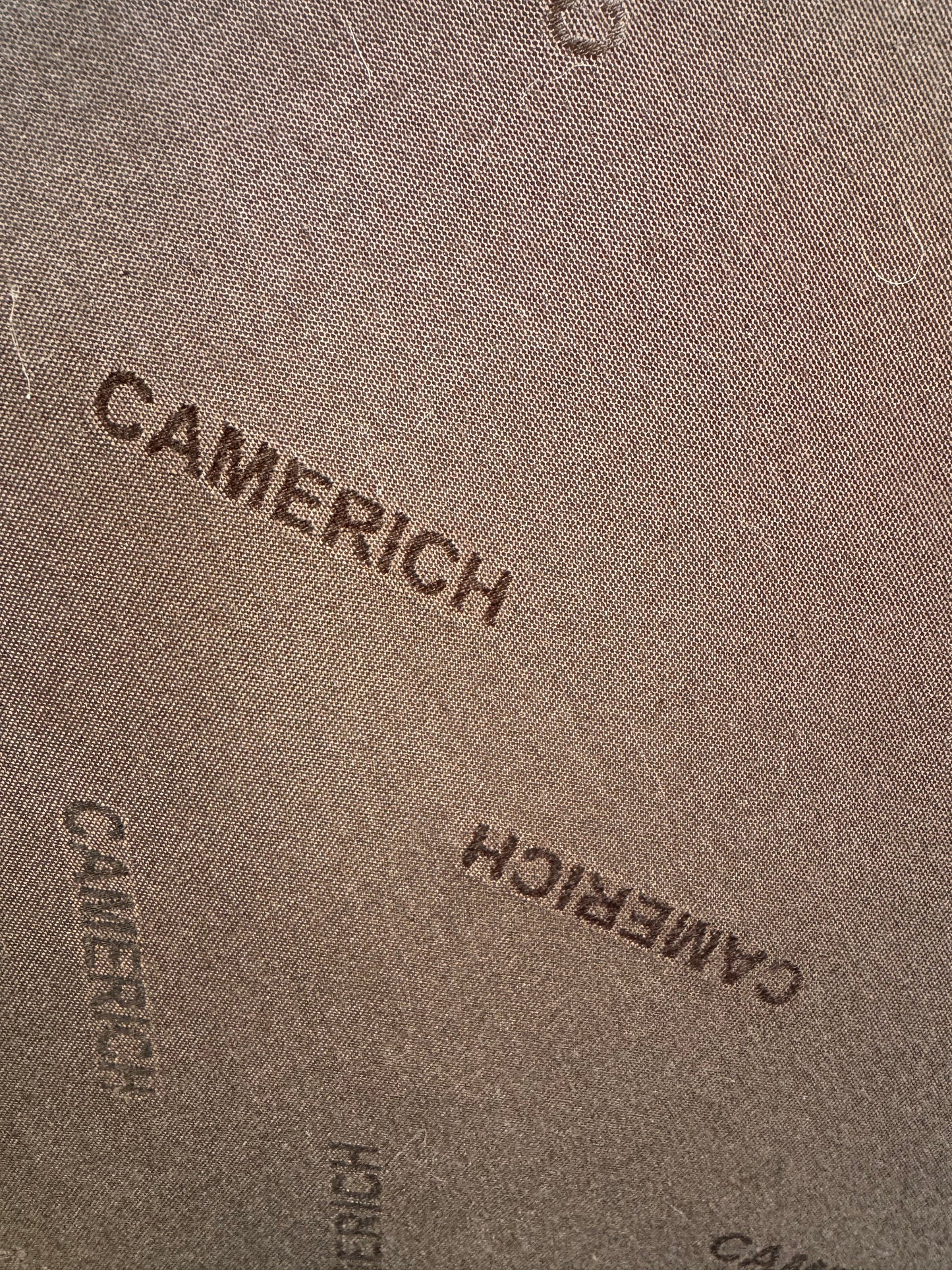 Camerich Lazytime Brown Leather Sofa